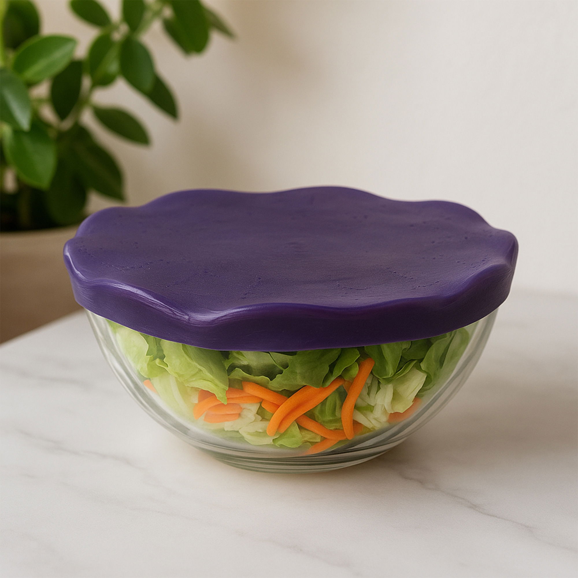 Silicone Stretch Lids 4.5/7/11/ 14 cm Set of 4